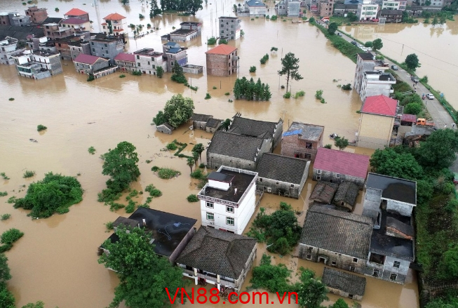 Mơ nước lũ dâng cao